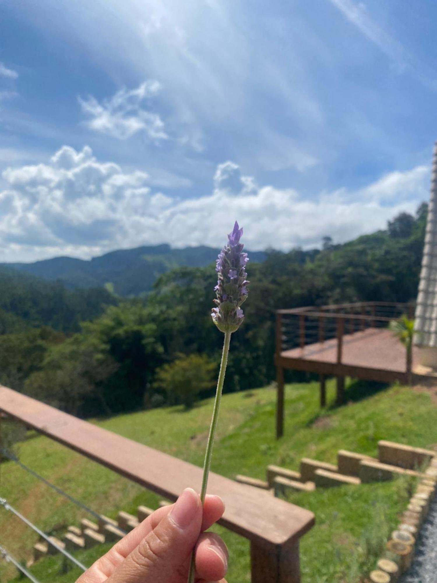 Chales Fazenda Floresta Das Araucarias Cunha Kültér fotó