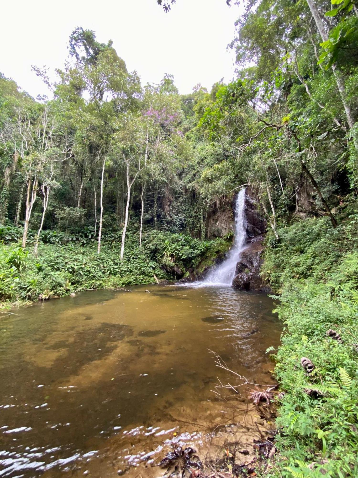 Chales Fazenda Floresta Das Araucarias Cunha Kültér fotó