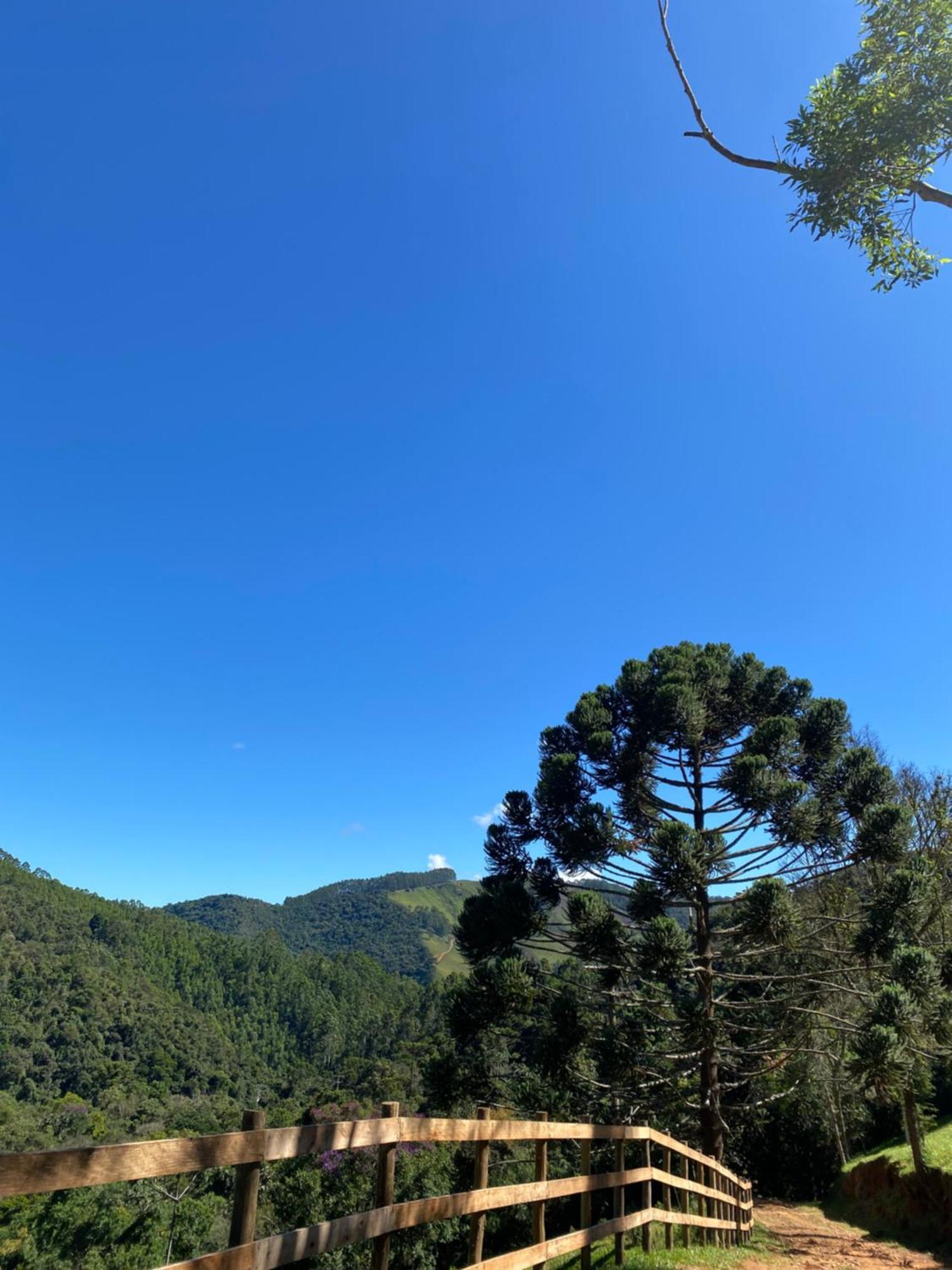 Chales Fazenda Floresta Das Araucarias Cunha Kültér fotó