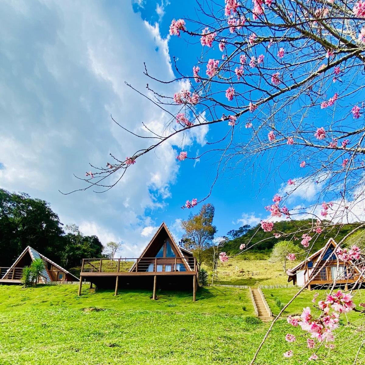 Chales Fazenda Floresta Das Araucarias Cunha Kültér fotó